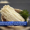 Jamur Enoki Asal Korea Selatan Telah Dimusnahkan Kementan