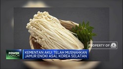 Jamur Enoki Asal Korea Selatan Telah Dimusnahkan Kementan