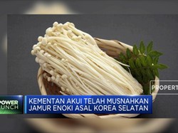 Jamur Enoki Asal Korea Selatan Telah Dimusnahkan Kementan