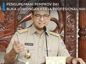 Pengumuman! Pemprov DKI Buka Lowongan Kerja Profesional Nih