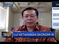 Ekonom: Permintaan Domestik Bisa Selamatkan RI Dari Resesi