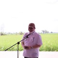 Menko Perekonomian: Pemerintah Bangun Food Estate Tahap I