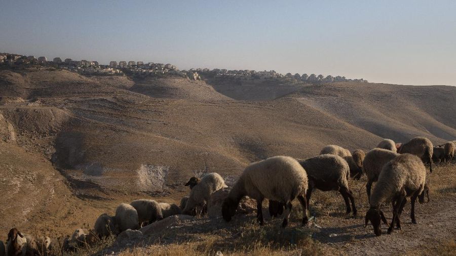 A view of the West Bank Jewish settlement of Ma'ale Efrayim in the Jordan Valley, Tuesday, June 30, 2020. Israeli Prime Minister Benjamin Netanyahu appears determined to carry out his pledge to begin annexing parts of the occupied West Bank, possibly as soon as Wednesday. (AP Photo/Oded Balilty)