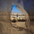 Israel Curi 800 Hektare Tanah di Tepi Barat, Arab Murka!