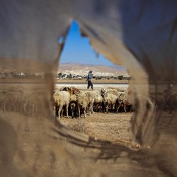 Israel Curi 800 Hektare Tanah di Tepi Barat, Arab Murka!