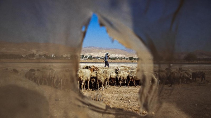 A view of the West Bank Jewish settlement of Ma'ale Efrayim in the Jordan Valley, Tuesday, June 30, 2020. Israeli Prime Minister Benjamin Netanyahu appears determined to carry out his pledge to begin annexing parts of the occupied West Bank, possibly as soon as Wednesday. (AP Photo/Oded Balilty)