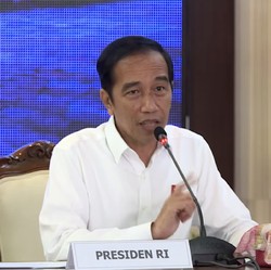 Jokowi Buka 4.000 Ha Beri Karpet Merah Pabrik AS-Korea Pindah
