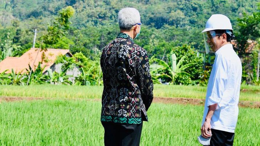 Presiden Jokowi dan Ganjar Pranowo (Laily Rachev - Biro Pers Sekretariat Presiden)