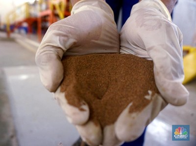 Rare Earth Elements: Senjata Baru Diplomasi Indonesia