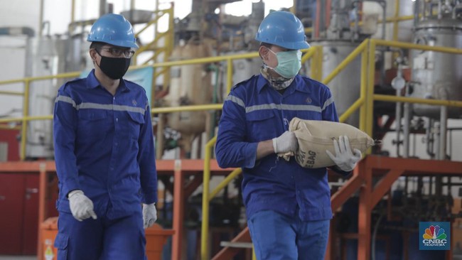 Siap-Siap RI Sebentar Lagi Bakal Punya Pabrik Mineral Tanah Jarang