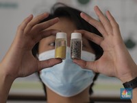 2 Wilayah RI Ini Diam-Diam Simpan Harta Karun, Diusulkan Bisa Dilelang