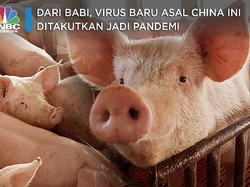 Dari Babi, Virus Baru Asal China Ini Ditakutkan Jadi Pandemi