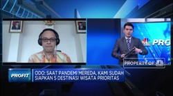 Ini Kata Kemenkomarves Soal Rencana Travel Bubble RI