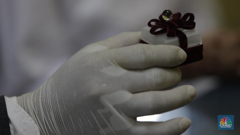 Melihat Pernikahan Difabel Memakai Protokol Kesehatan (CNBC Indonesia/Tri Susilo)