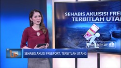 Ini Cerita Di Balik Akuisisi Freeport