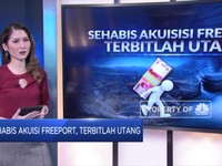Ini Cerita Di Balik Akuisisi Freeport