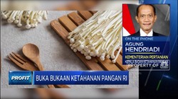 Kementan Pastikan Jamur Enoki Asal Korsel Sudah Dimusnahkan