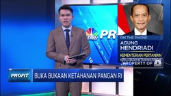 Kementan: Pembukaan Sawah Baru,Upaya Antisipasi Krisis Pangan