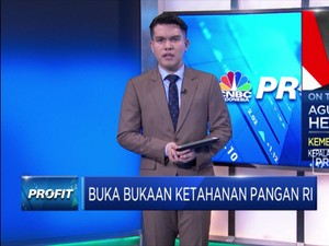 Kementan: Pembukaan Sawah Baru,Upaya Antisipasi Krisis Pangan