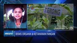 Transportasi, Tantangan Bisnis Pangan Organik Kala Pandemi