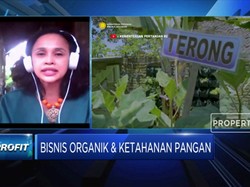 Transportasi, Tantangan Bisnis Pangan Organik Kala Pandemi