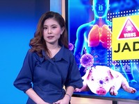 Waspada Ancaman Flu Babi di Tengah Pandemi