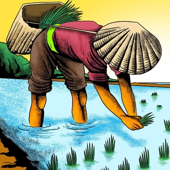 Ini Dia Lumbung Pangan yang Sedang Disiapkan Jokowi