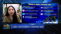 Langkah Awal Memulai Bisnis Tanaman Hias Bagi Milenial