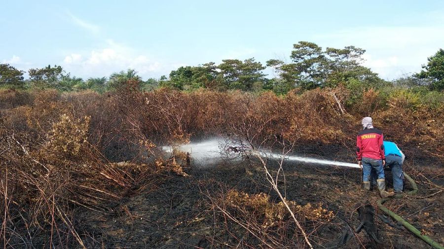 Selain karena puntung rokok, karhutla juga dipicu pembukaan lahan dengan cara membakar.
