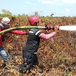 RI Panas Mendidih, Siap-siap Daerah Ini Kering Parah