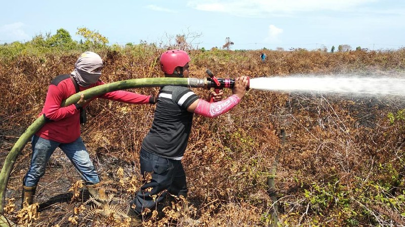 Kebakaran hutan dan lahan di Kecamatan Sawang, Kabupaten Aceh Selatan, Jumat (3/7/2020).