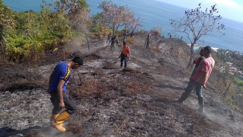 Kebakaran hutan dan lahan di Kecamatan Sawang, Kabupaten Aceh Selatan, Jumat (3/7/2020).