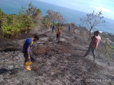 Dua Tahun Pandemi, RI Bebas dari Musibah Kebakaran Hutan