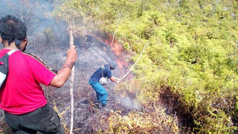Kebakaran hutan dan lahan di Kecamatan Sawang, Kabupaten Aceh Selatan, Jumat (3/7/2020).