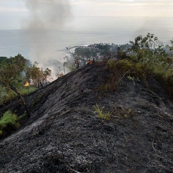 Termasuk Efek Puntung Rokok, Karhutla Mulai Terjadi di Aceh