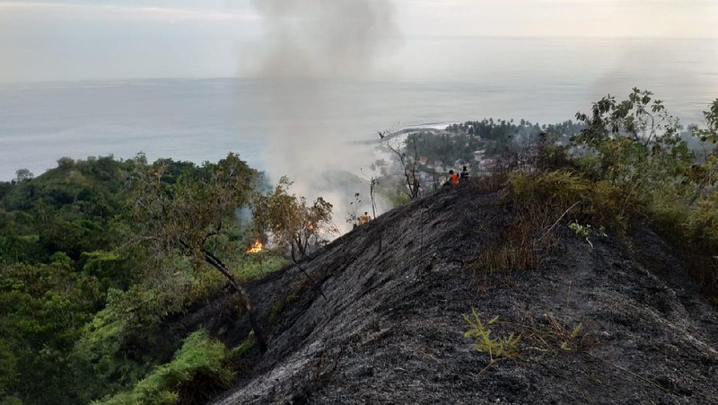 Kebakaran hutan dan lahan di Kecamatan Sawang, Kabupaten Aceh Selatan, Jumat (3/7/2020).
