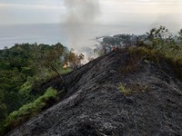 Termasuk Efek Puntung Rokok, Karhutla Mulai Terjadi di Aceh