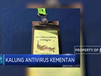 Kalung Ekstrak Kayu Putih Kementan Bunuh Virus Influenza