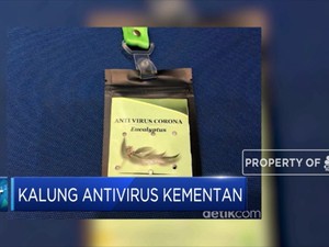 Kalung Ekstrak Kayu Putih Kementan Bunuh Virus Influenza