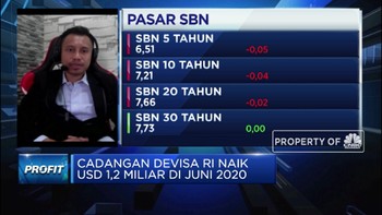 Ekonom: Pandemi, Posisi Cadev Stabil di Kisaran USD 130 M