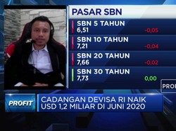 Ekonom: Pandemi, Posisi Cadev Stabil di Kisaran USD 130 M