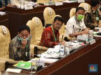 Ini Gaya Mentan SYL Pamer Kalung Anti Virus di Depan DPR