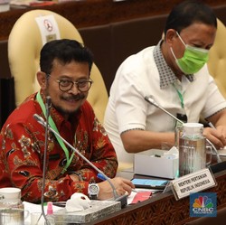 Lumbung Pangan Digarap Prabowo, Mentan: Saya yang di Lapangan
