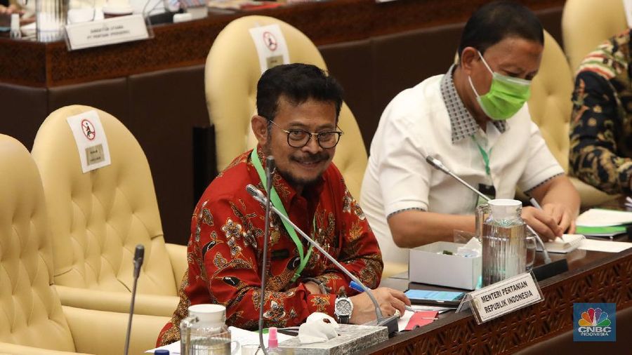 Menteri Pertanian (Mentan) Syahrul Yasin Limpo menghadiri rapat kerja bersama Komisi IV DPR RI, Selasa (7/7) dengan menggunakan kalung antivirus corona. (CNBC Indonesia/ Muhammad Sabki)