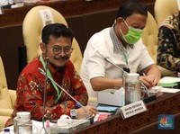 Lumbung Pangan Digarap Prabowo, Mentan: Saya yang di Lapangan
