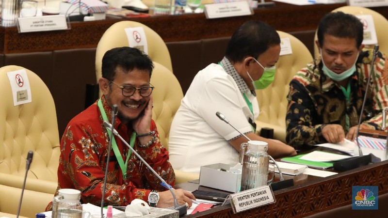 Menteri Pertanian (Mentan) Syahrul Yasin Limpo menghadiri rapat kerja bersama Komisi IV DPR RI, Selasa (7/7) dengan menggunakan kalung antivirus corona. (CNBC Indonesia/ Muhammad Sabki)