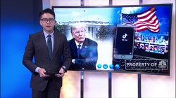 Susul India, Donald Trump Berencana Blokir TikTok