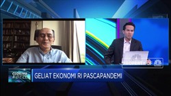 Menilik 'Burden Sharing' BI-Pemerintah, Ini Kata Faisal Basri