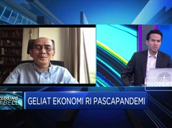 Menilik 'Burden Sharing' BI-Pemerintah, Ini Kata Faisal Basri