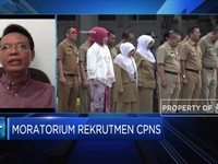 Pengamat: Moratorium CPNS Perlu Dilakukan di Semua Instansi